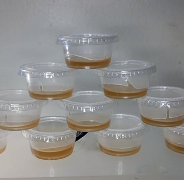 How to make ketchup cup agar for mycology