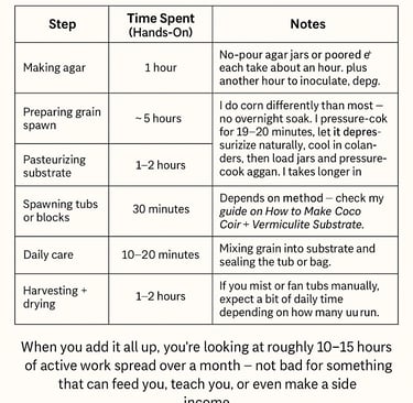 chart showing how long in hours it takes to grow mushrooms