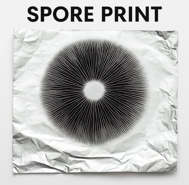 spore print on foil
