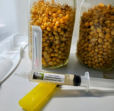 lions mane lc syringe inside a still air box