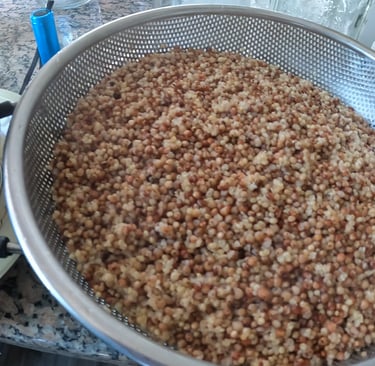wild bird seed grains drying and cooling on a counter top