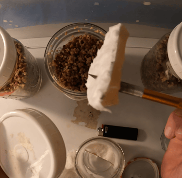 holding a agar wedge with a craft knife