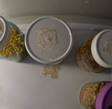 still air box with grain jars in it