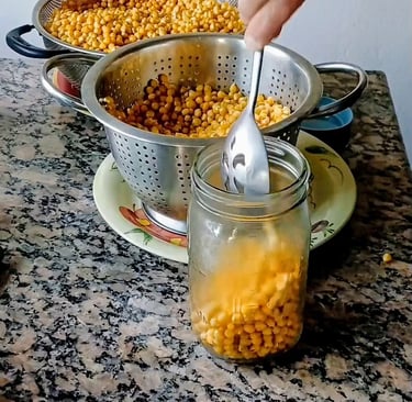 grain spawn being poured into a mason jar