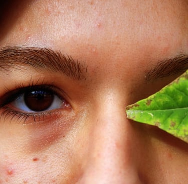 tea tree oil acne treatment