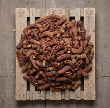 “Bulk tamarind packed for export – wholesale grade dried tamarind”