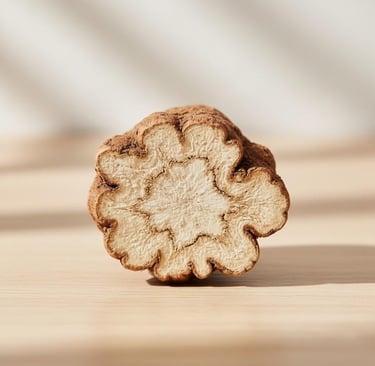 “Close-up of Ashwagandha root fibers and ultra-fine Withania Somnifera texture”