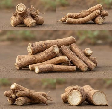 “Withania Somnifera Ashwagandha roots and powder front view – export grade herbal product”