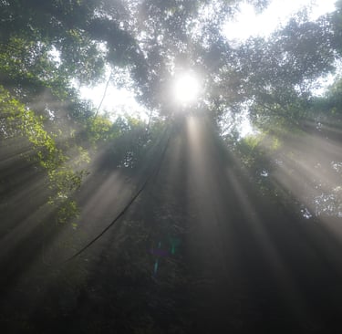 finally emerging from the exit of hang son doong cave, Vietnam