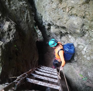 Metal ladders down to the entrance of Hang Son Doong Cave , Ke Bang National Park, Vietnam