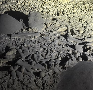 Petrified bear bones near to the exit of hang son doong cave, Vietnam