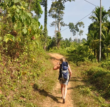 Forest walk to elephant beach, Havelock island, Andaman islands