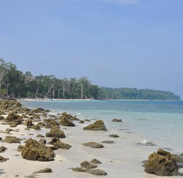 Forest walk to elephant beach, Havelock island, Andaman islands
