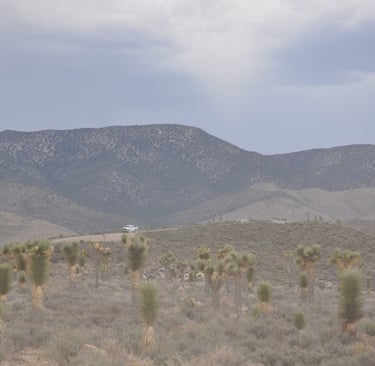 being watched at entrance to area 51