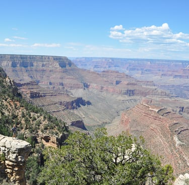 a cliff overlooking the grand canyon