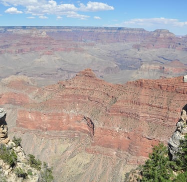  overlooking the grand canyon