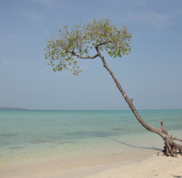 Govind Nagar Beach, havelock, andaman and nicobar islands