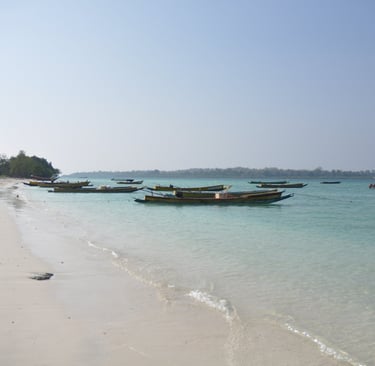 Govind Nagar Beach, havelock, andaman and nicobar islands