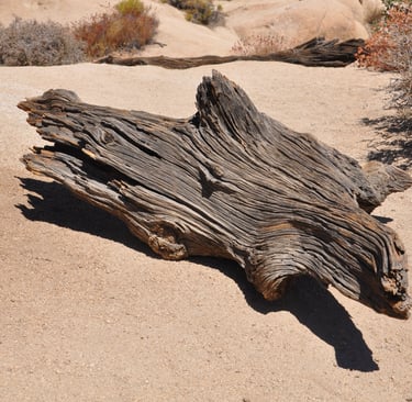 Wooden sculpture in Joshua Tree National Park