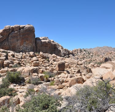 Barkers Dam Trail, Joshua Tree National Park