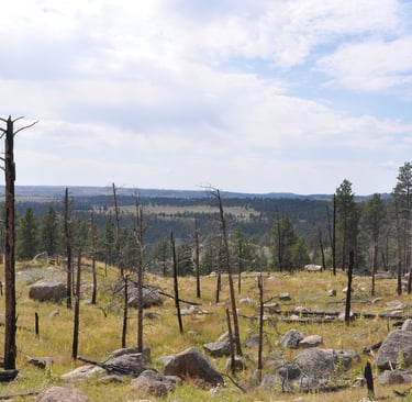 devils tower surrounding prairie wyoming