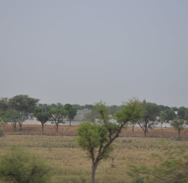 View of rajasthan from train. India