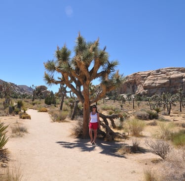 Skull rock trail, Joshua Tree National Park
