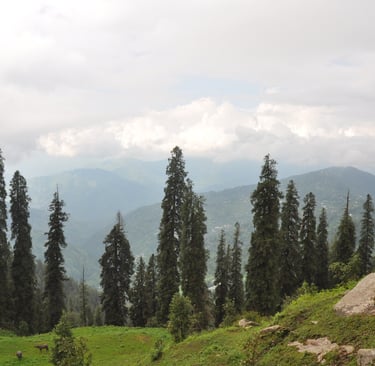 Hatu Peak, Himachal Pradesh, India