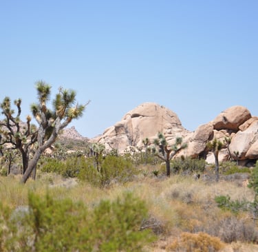  Barkers Dam, Joshua Tree National Park