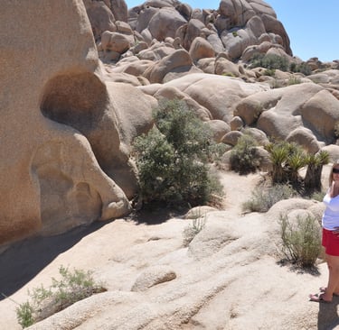 Skull rock trail, Joshua Tree National Park