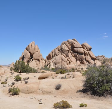 Skull rock trail, Joshua Tree National Park