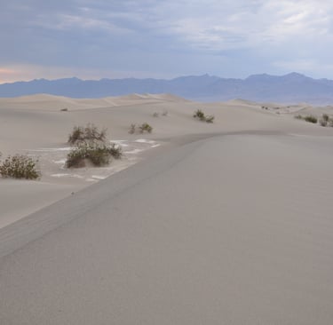 Mesquite Flat sand dunes, Death Valley