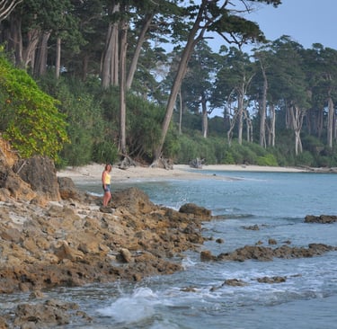 south western beach, Neil Island, Andaman and Nicobar Islands
