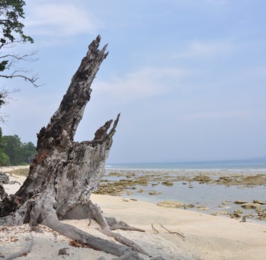 Laxmanpur beach, Neil island, andaman and nicobar islands