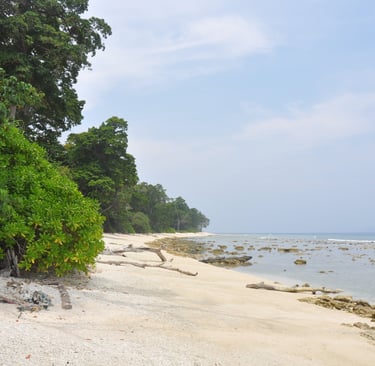 Laxmanpur beach, Neil island, andaman and nicobar islands