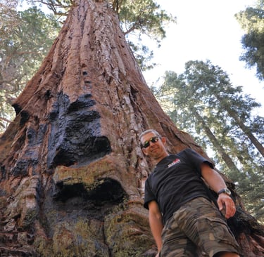 a man standing in front of a giant sequoia tree