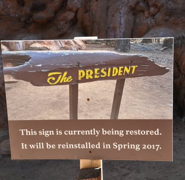 a sign that says, this sign is for president tree