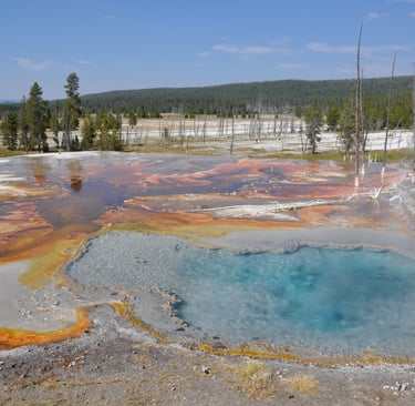 a large geothermal blue pool in yellowstone national park