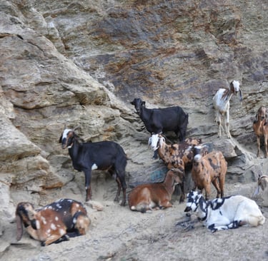 The people and places of Himachal Pradesh, India