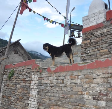 temple complex in Kalpa, Himachal Pradesh, India