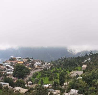 Snow view hotal, Sarahan, Himachal Pradesh, India