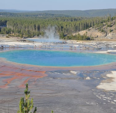 the grand prismatic spring in yellowstone
