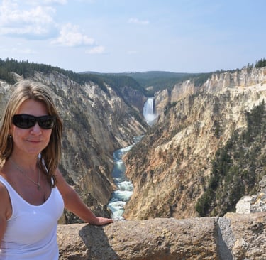 lower falls and the grand canyon of the yellowstone national park
