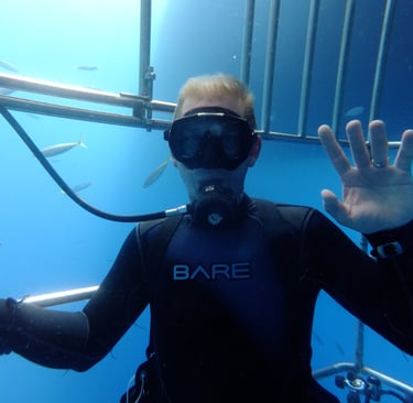 Great White shark diving in Guadalupe Island, off the coast of Mexico