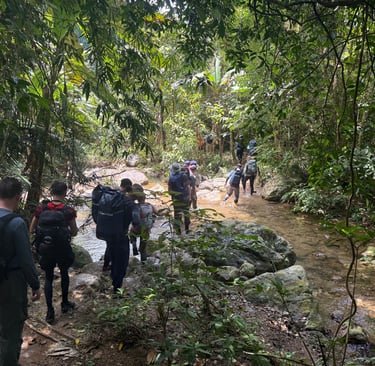 trek through the Ke Bang national park jungle to get to Hang son doong cave