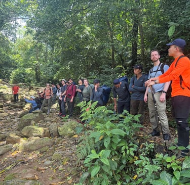 trek through the Ke Bang national park jungle to get to Hang son doong cave