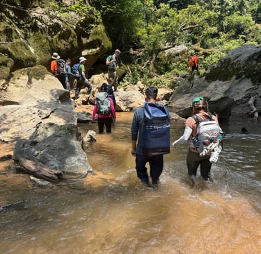 jungle trek from Hang En to Son Doong caves