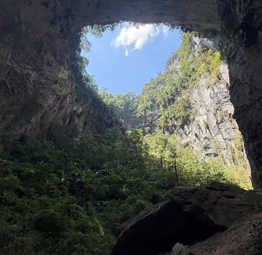 Looking up to the Garden Of Edam, Doline 2, Hang Son Doong cave, Vietnam