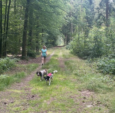 in the woods at Sorgbrück, Germany