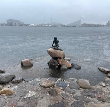 a wet copenhagen and the statue of the little mermaid, Denmark